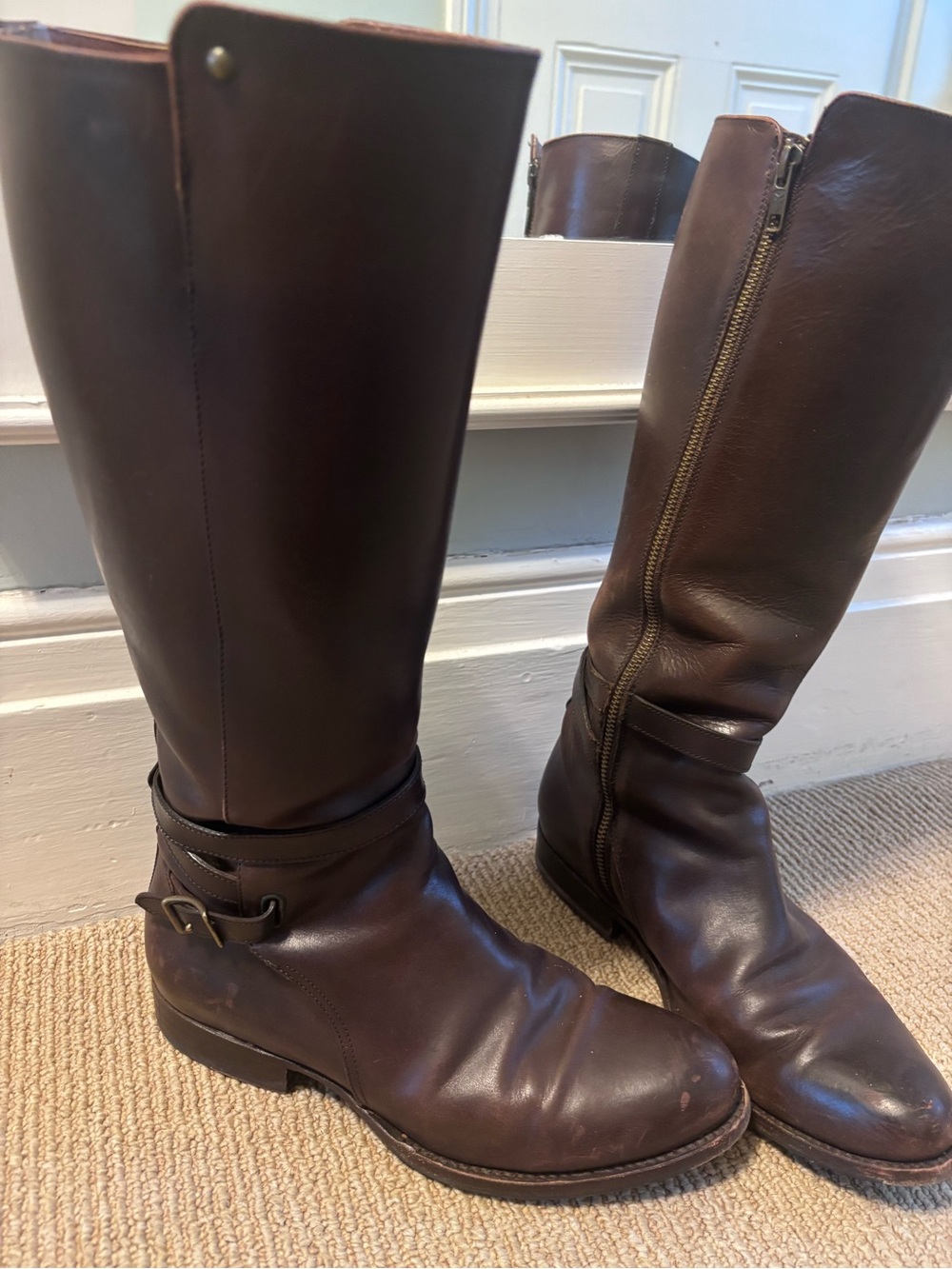 Frye Women's Tall Leather Riding Boots in Dark Brown